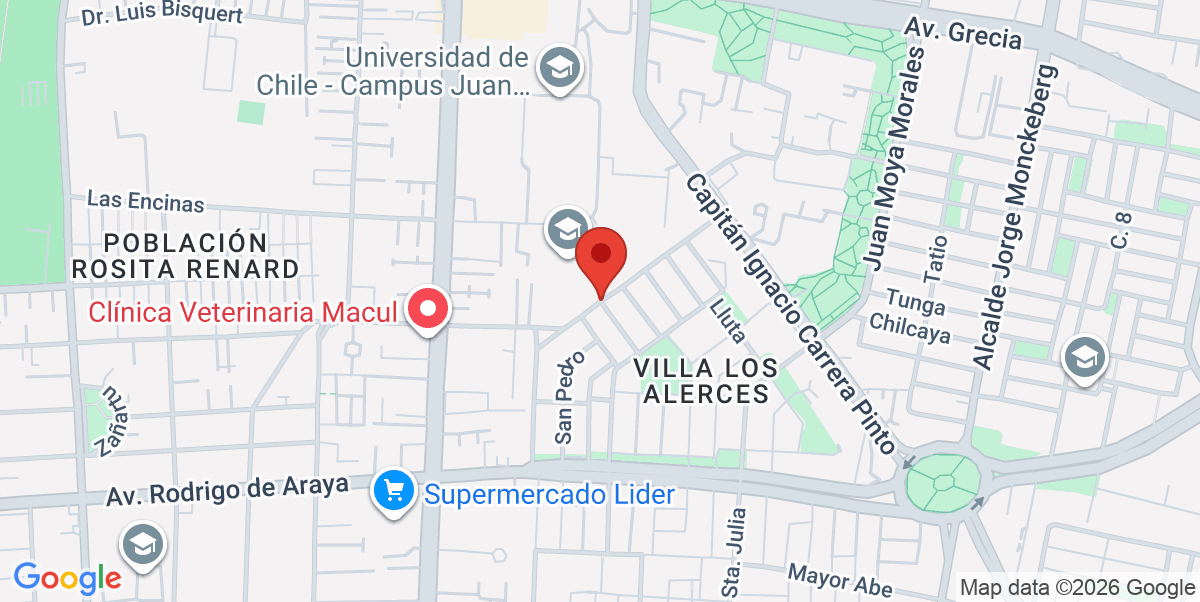 Mapa Estático
