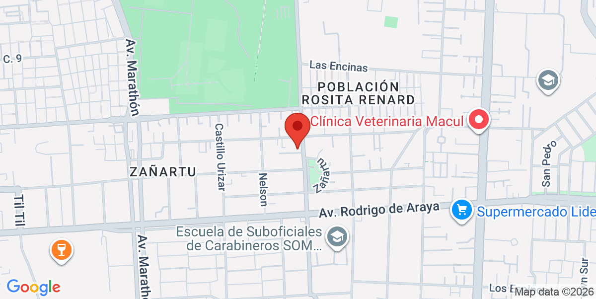 Mapa Estático