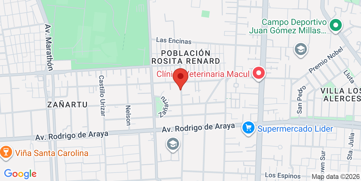 Mapa Estático