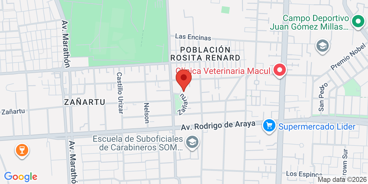Mapa Estático