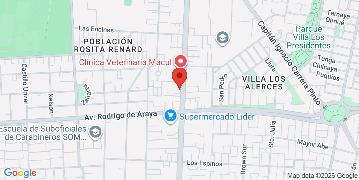 Mapa Estático