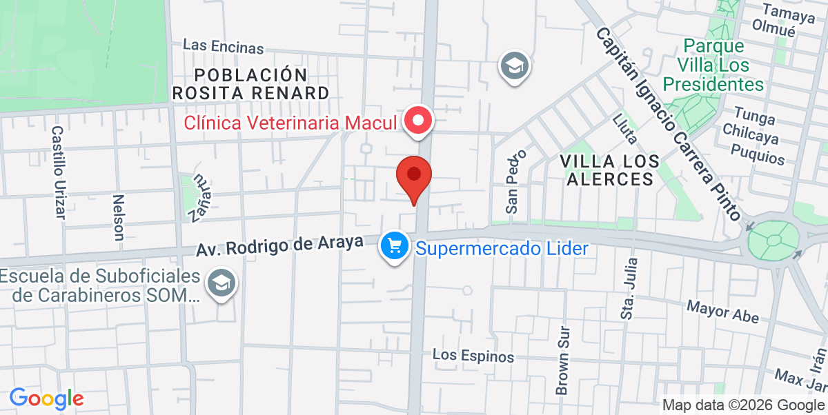 Mapa Estático