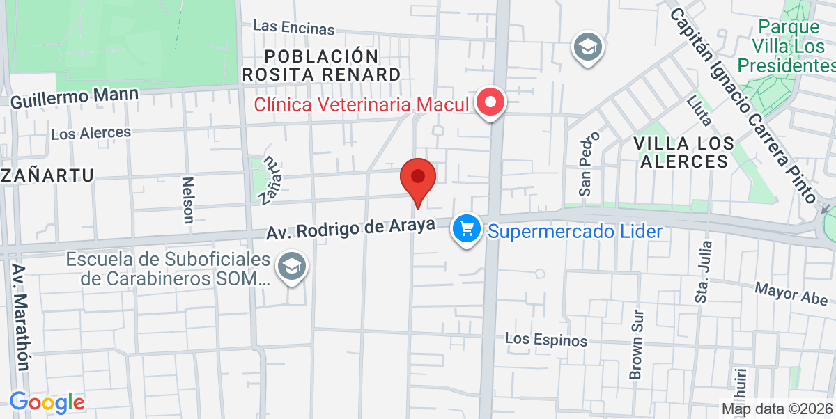 Mapa Estático