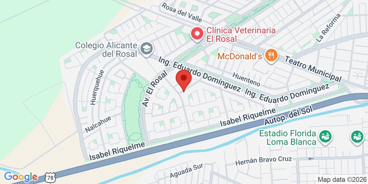 Mapa Estático
