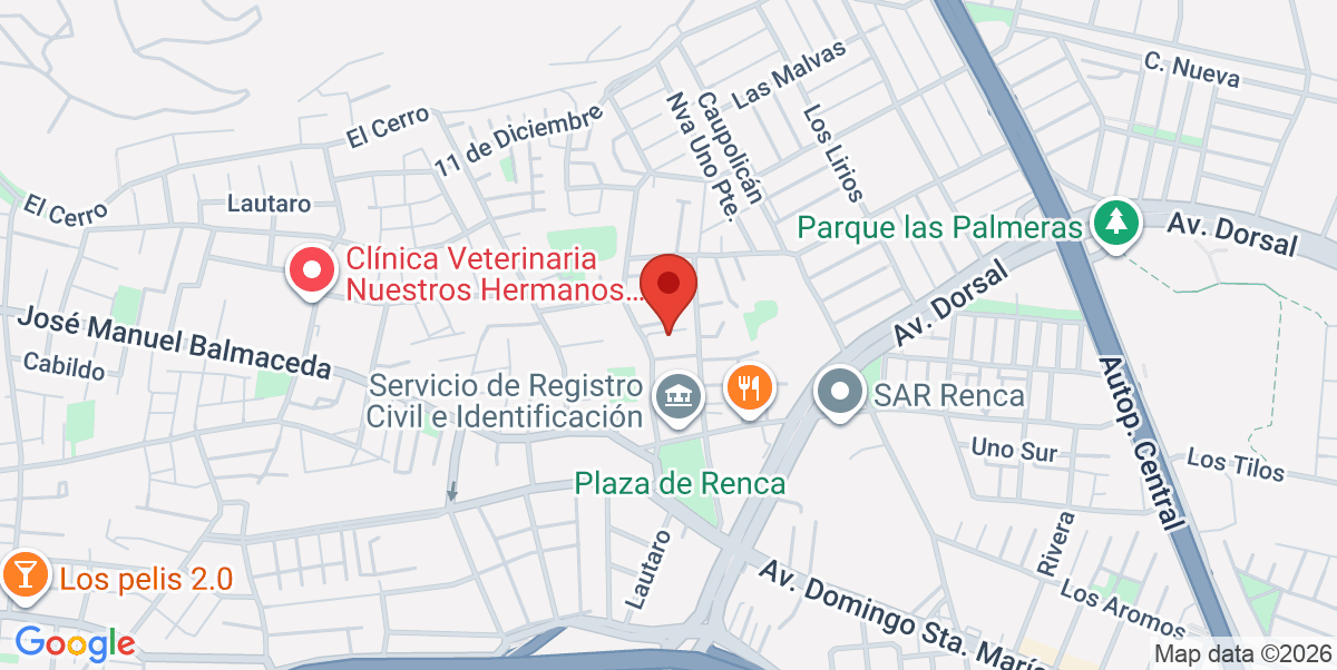 Mapa Estático