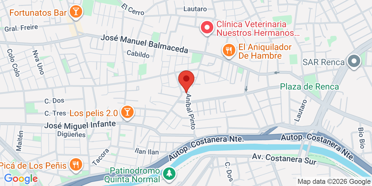 Mapa Estático