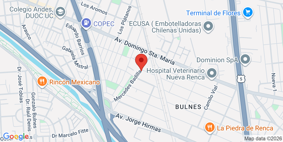 Mapa Estático