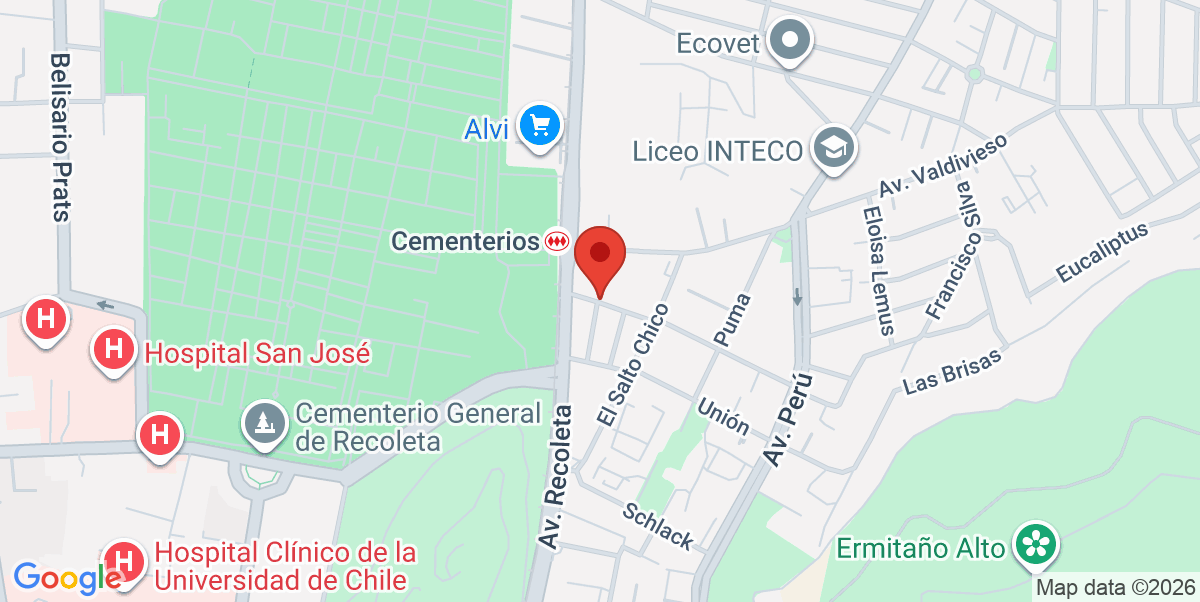 Mapa Estático