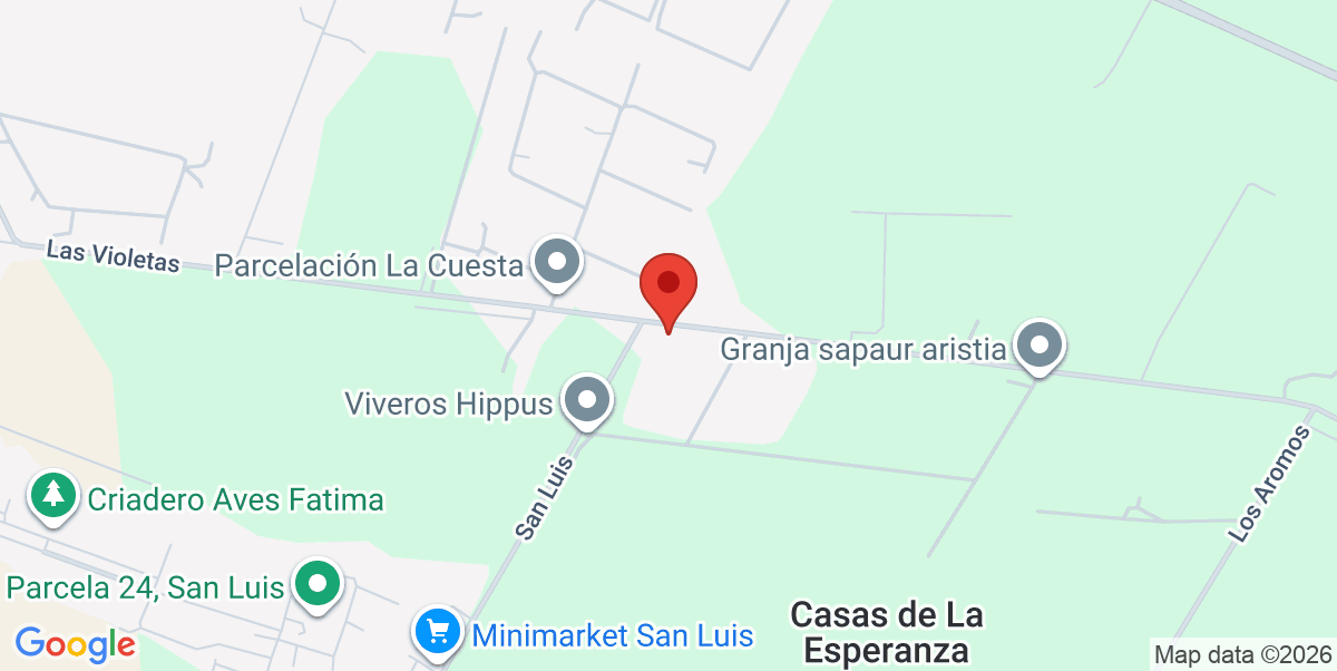 Mapa Estático