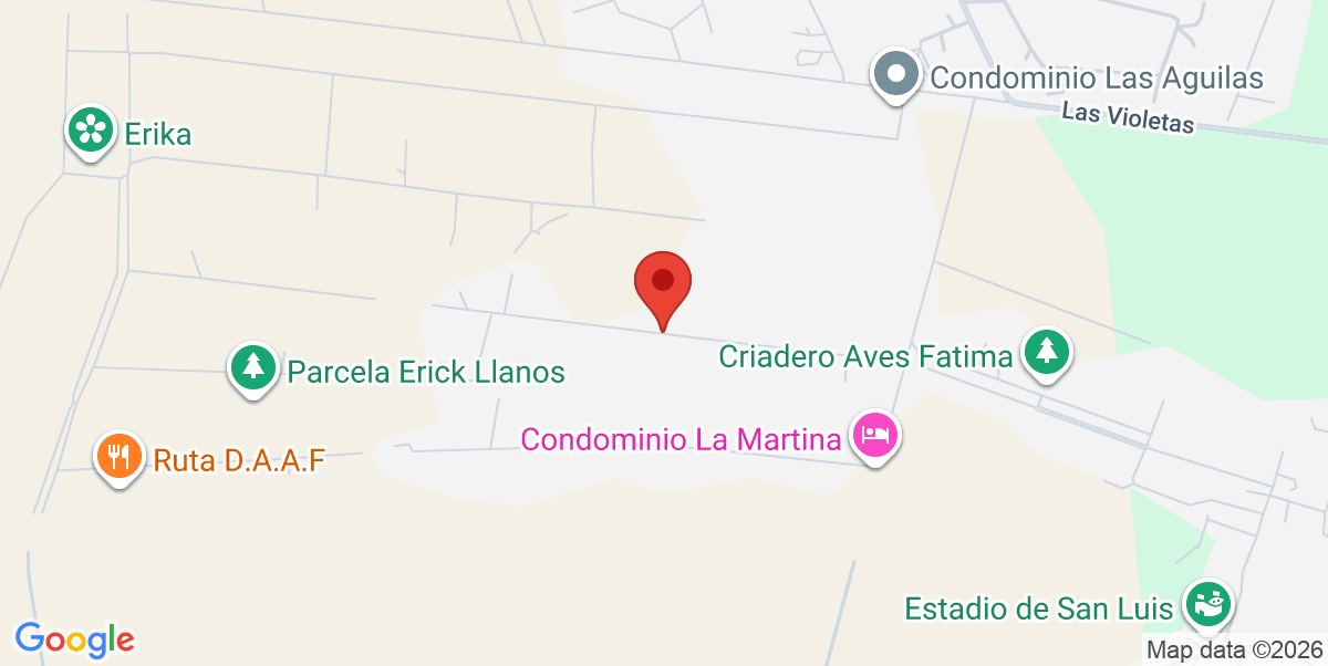 Mapa Estático