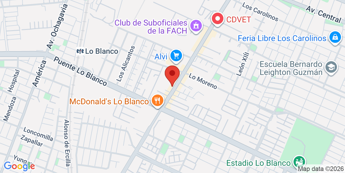 Mapa Estático