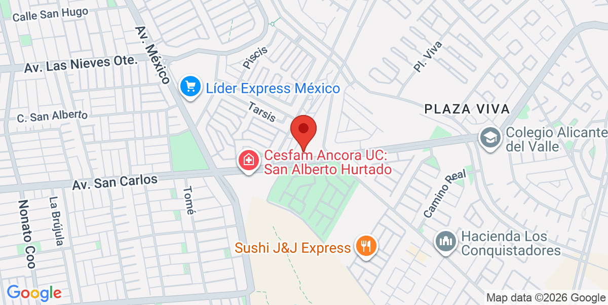 Mapa Estático