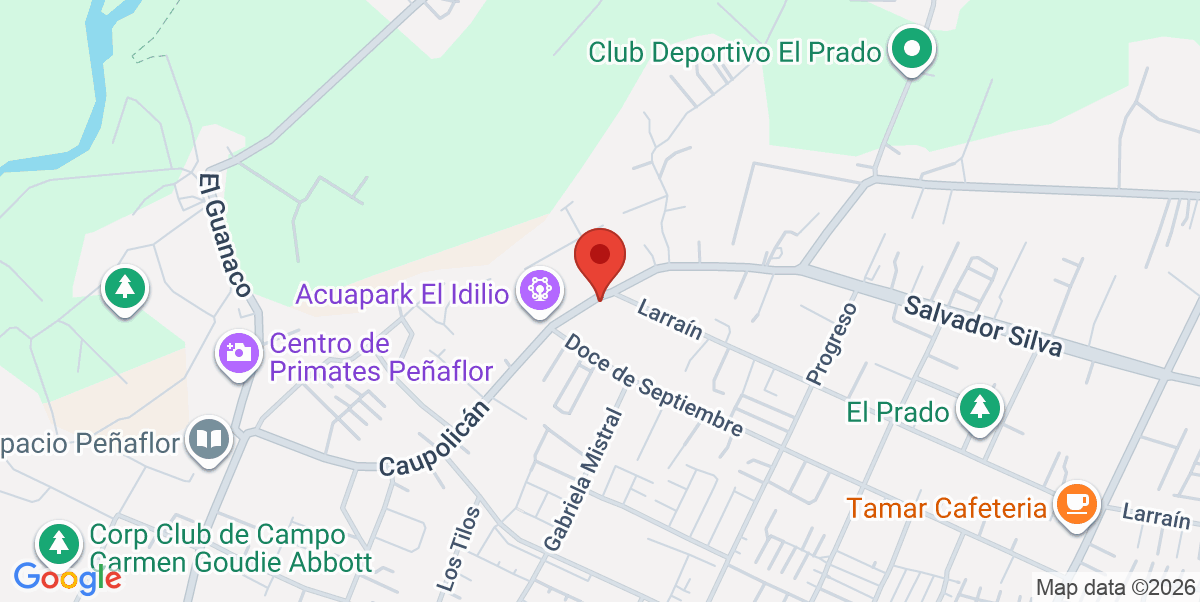 Mapa Estático