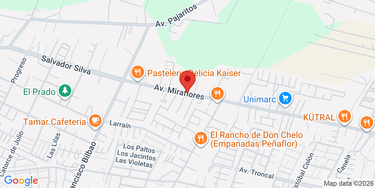 Mapa Estático