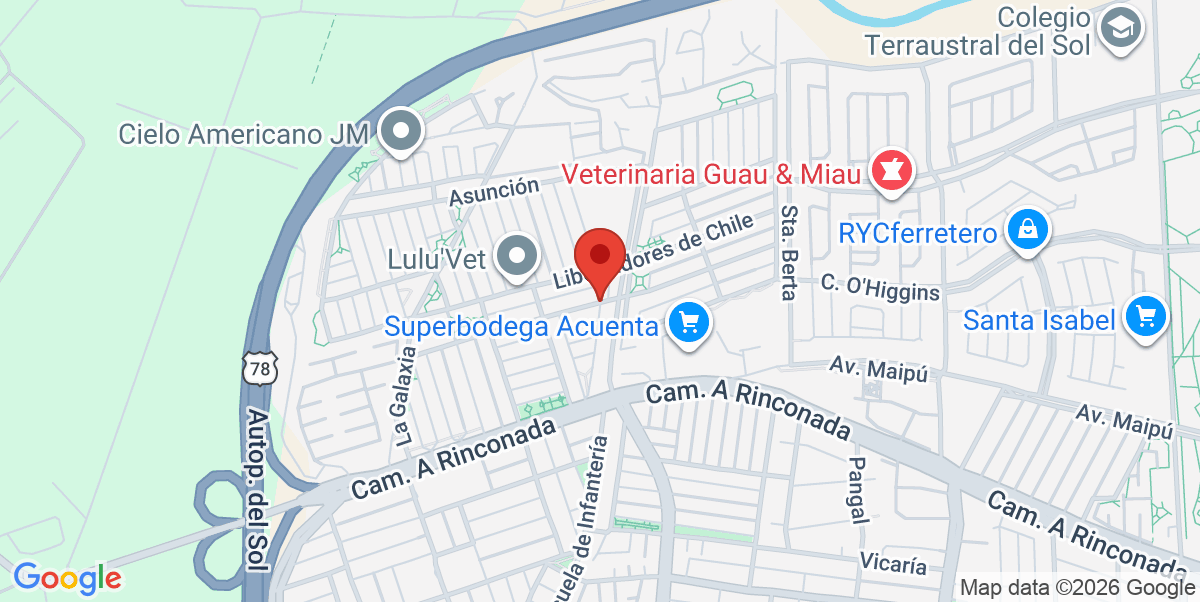 Mapa Estático