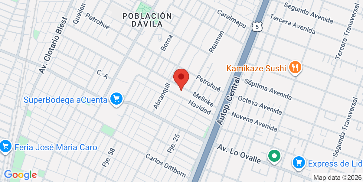 Mapa Estático