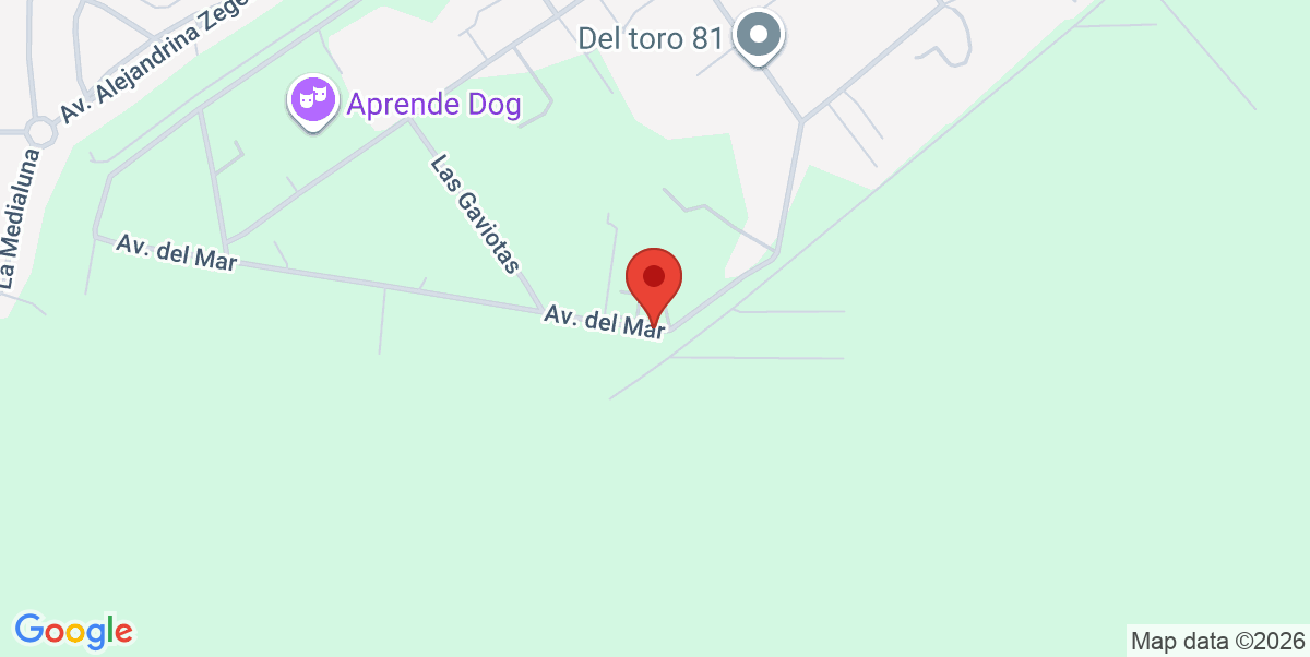 Mapa Estático