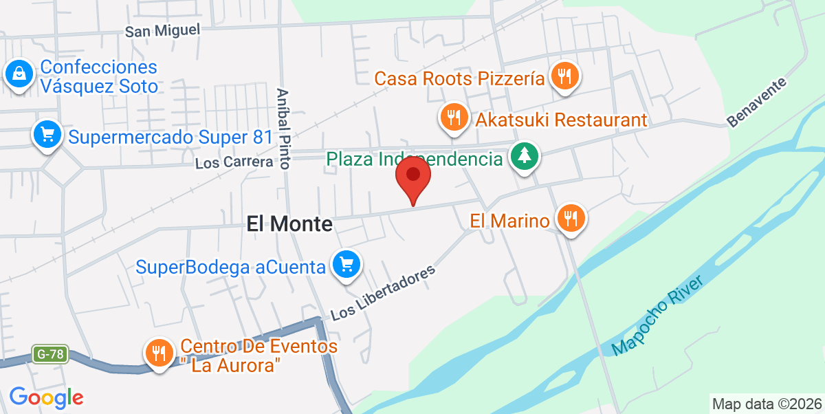 Mapa Estático
