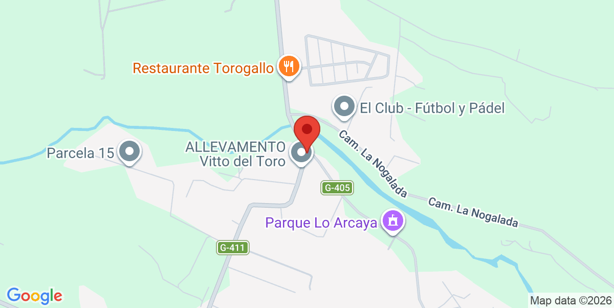 Mapa Estático