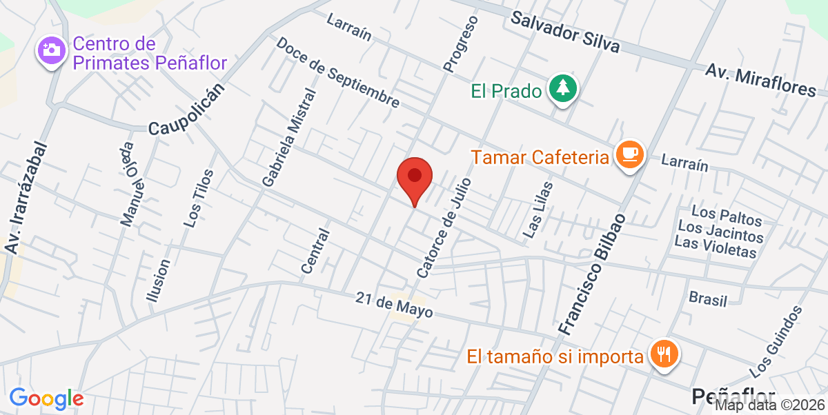Mapa Estático