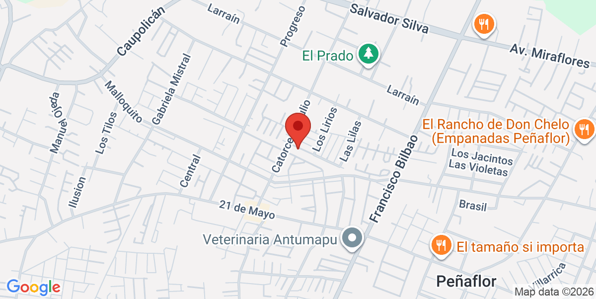 Mapa Estático