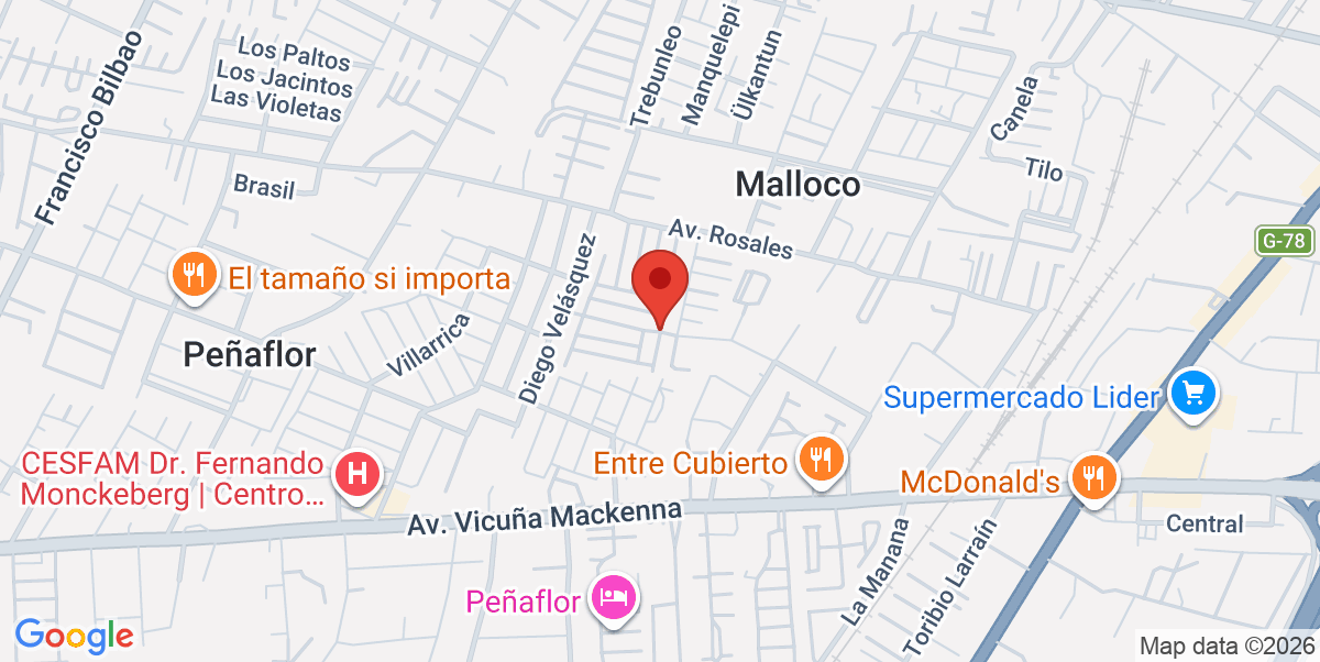 Mapa Estático