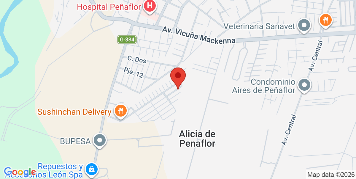 Mapa Estático