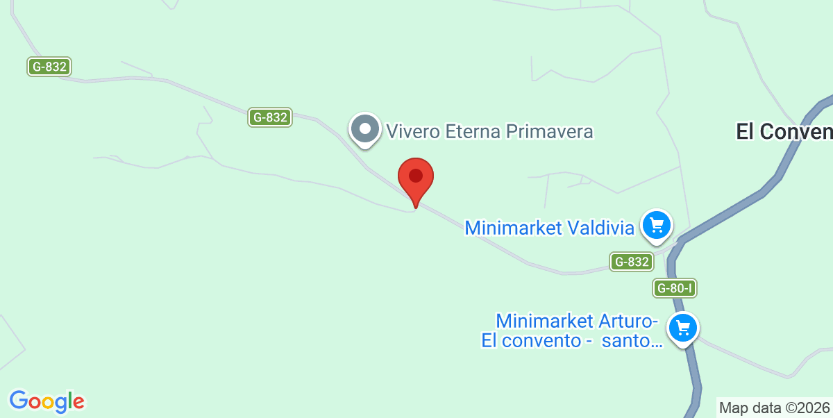 Mapa Estático