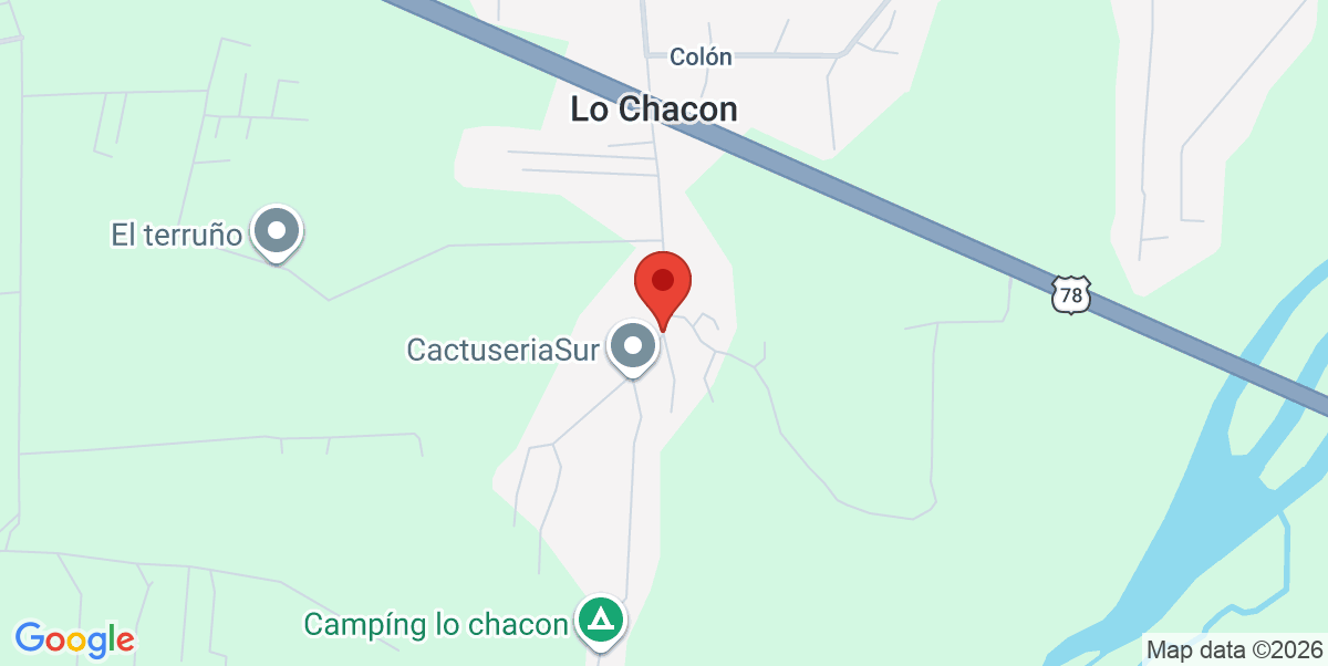 Mapa Estático