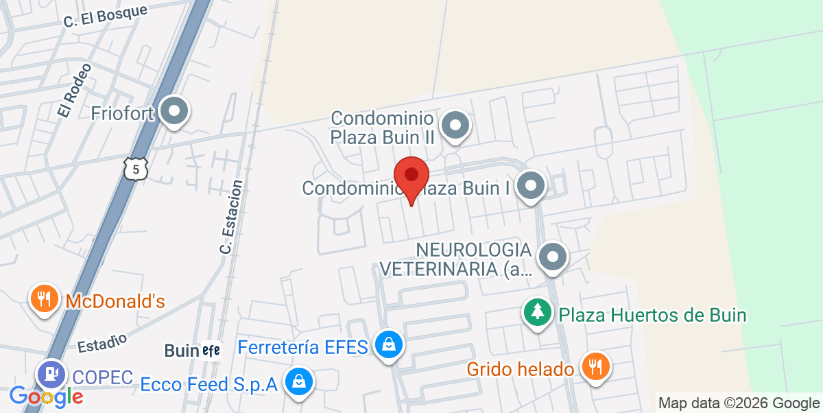 Mapa Estático