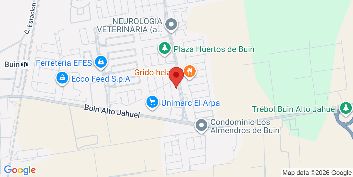 Mapa Estático