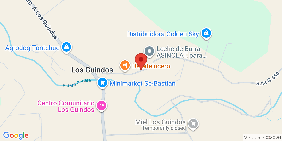 Mapa Estático