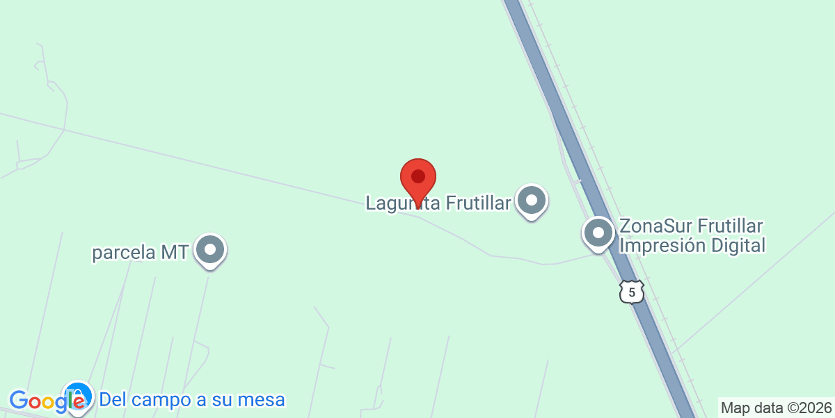 Mapa Estático