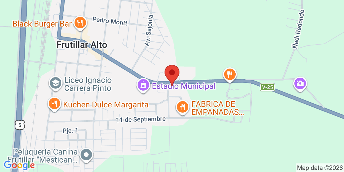 Mapa Estático