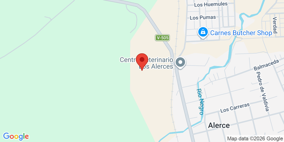 Mapa Estático
